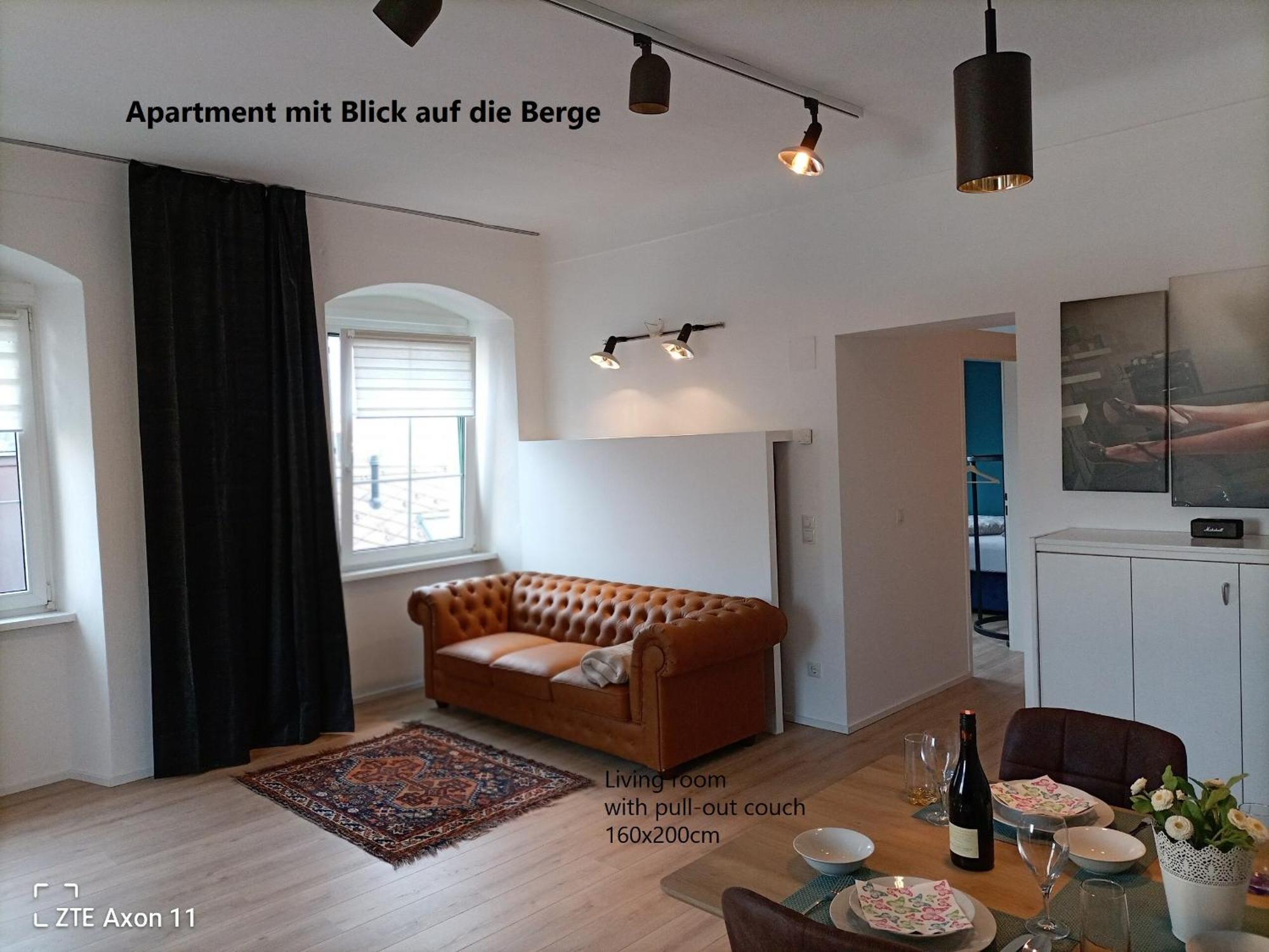 Altstadtwohnungen "Grunberg 1D" & "Gmunden 3D Mit Seeblick" Im Zentrum Von غموندين المظهر الخارجي الصورة